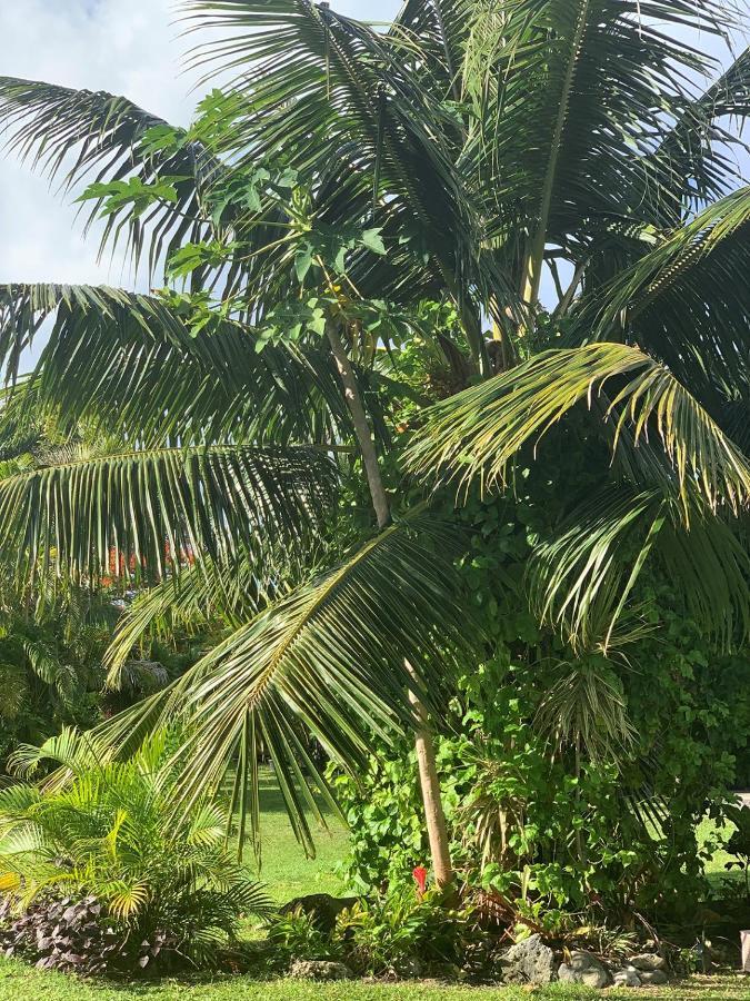Bella Casa Villa Rarotonga Bagian luar foto